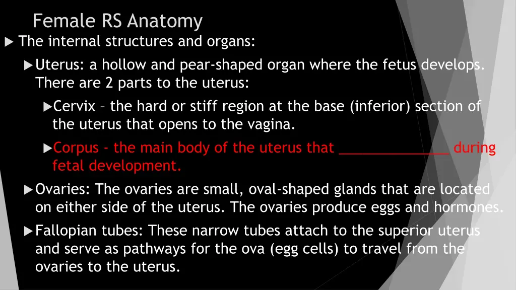 female rs anatomy the internal structures