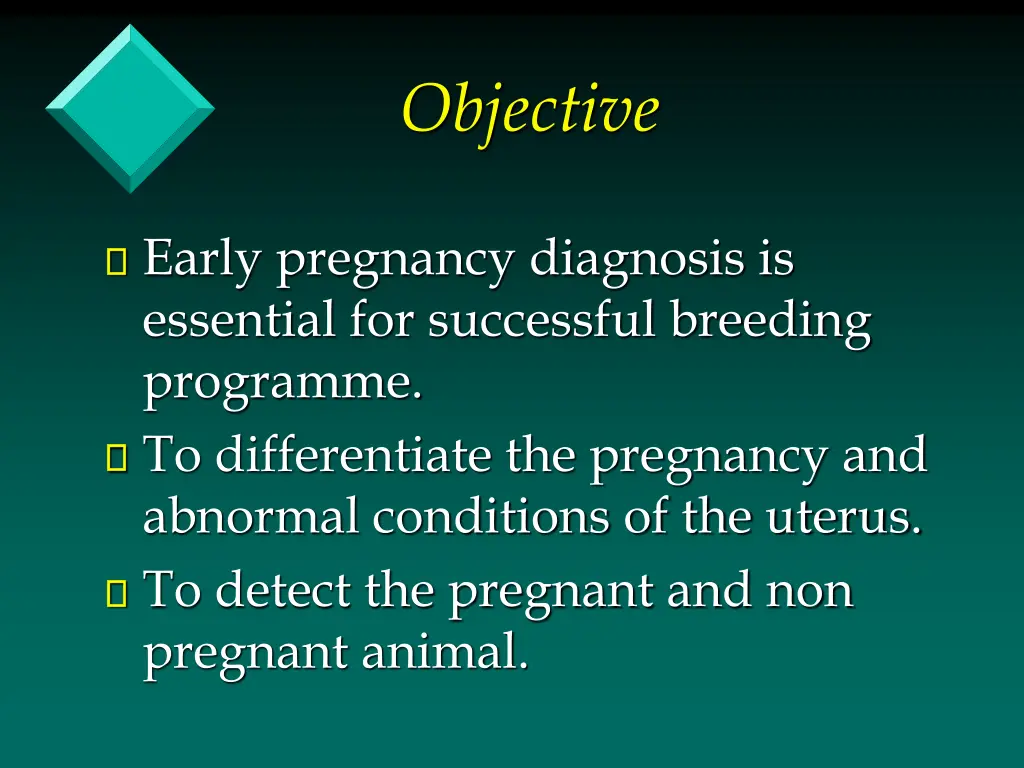 objective
