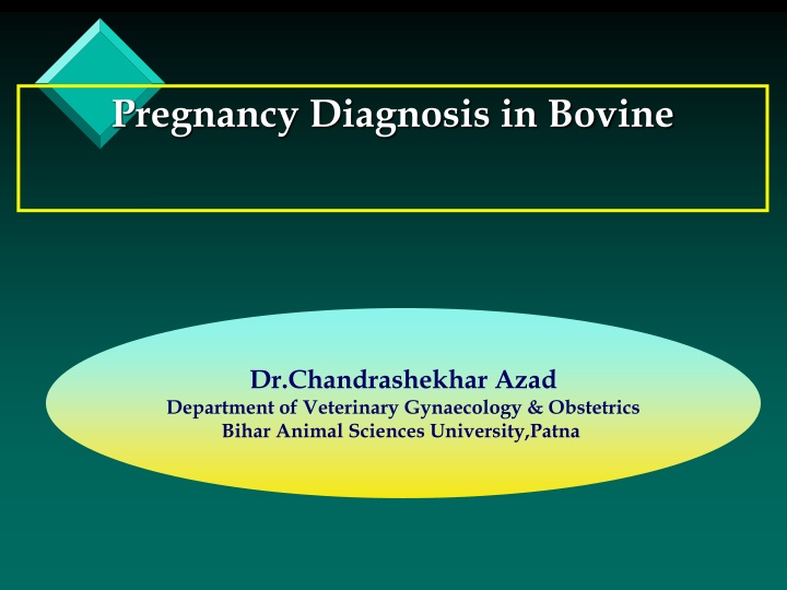 pregnancy diagnosis in bovine
