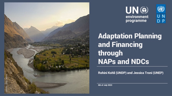 adaptation planning and financing through naps