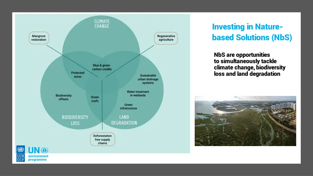 investing in nature based solutions nbs