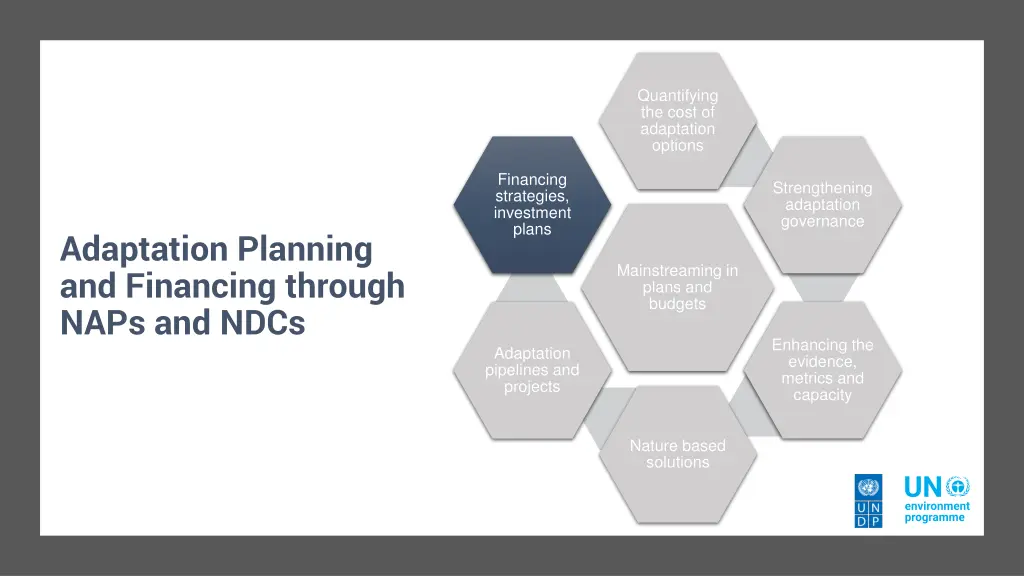 quantifying the cost of adaptation options 1