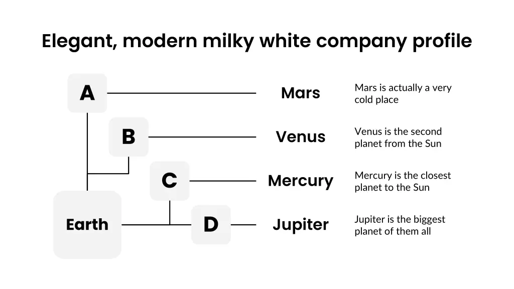 elegant modern milky white company profile 15