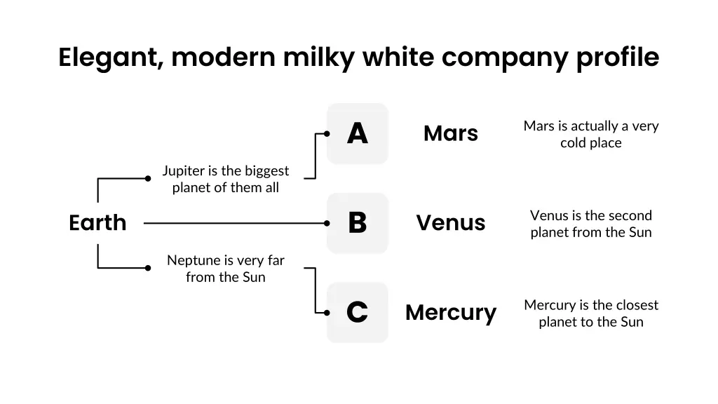 elegant modern milky white company profile 8
