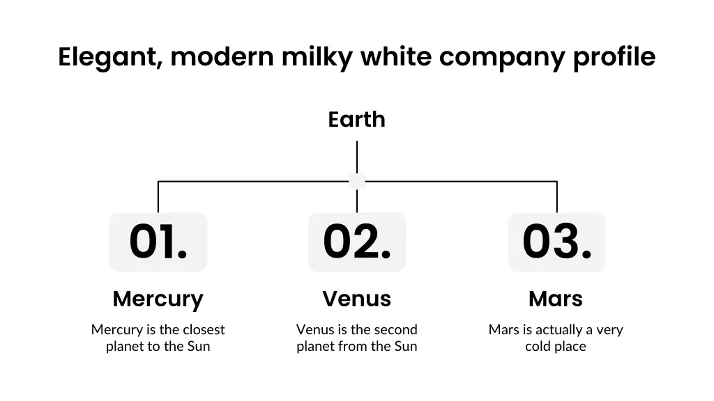elegant modern milky white company profile 9