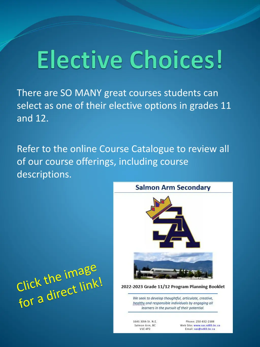 there are so many great courses students