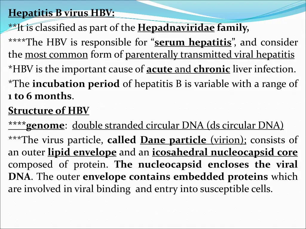 hepatitis b virus hbv it is classified as part
