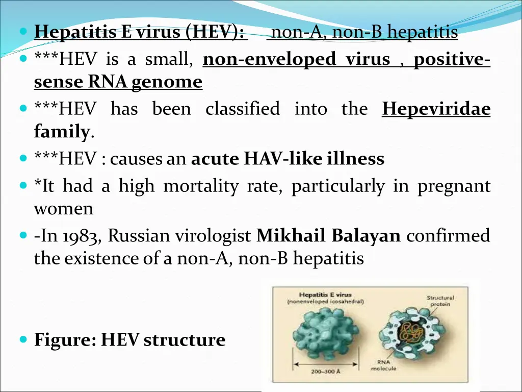 hepatitis e virus hev hev is a small