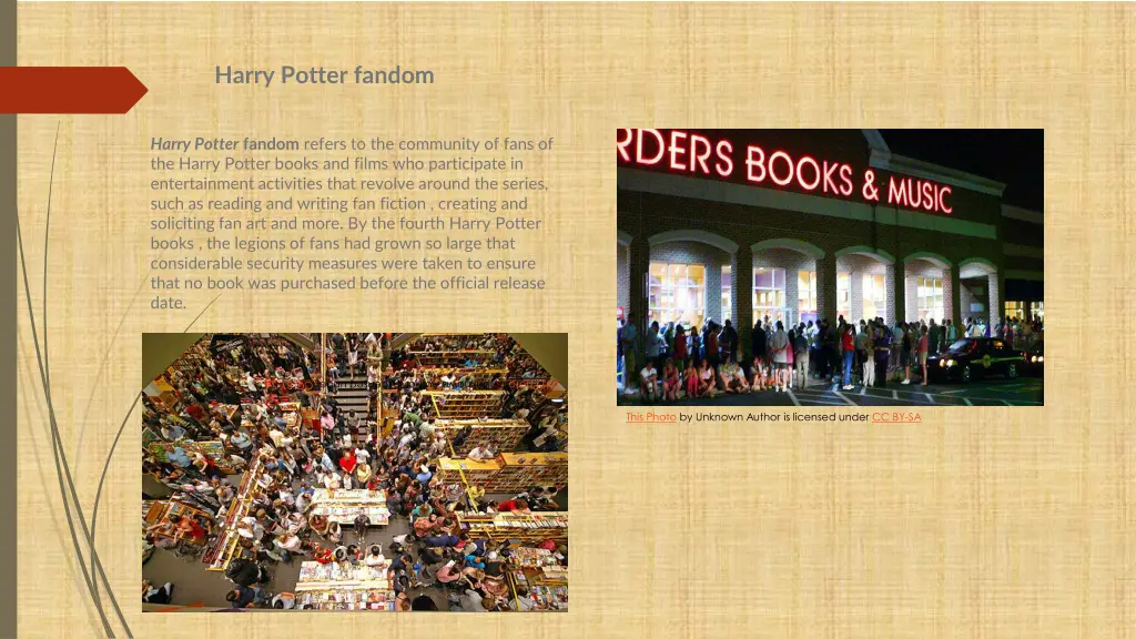 harry potter fandom