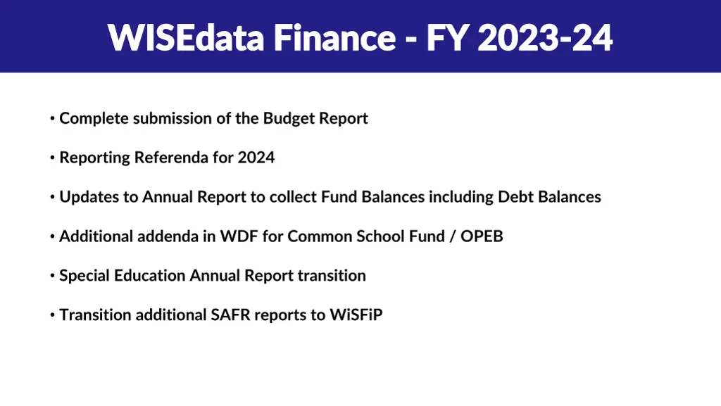 wisedata finance wisedata finance fy 2023