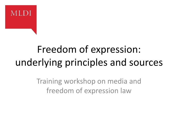 freedom of expression underlying principles
