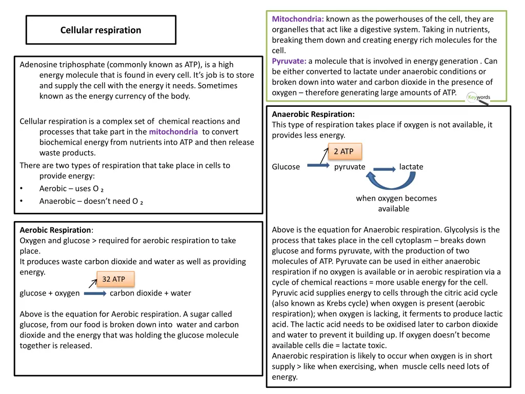 mitochondria known as the powerhouses of the cell