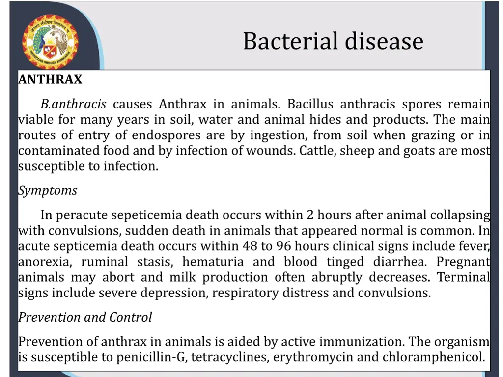 bacterial disease