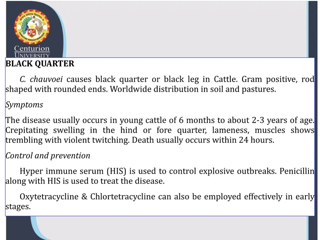 black quarter