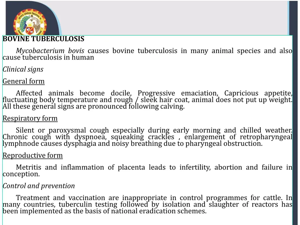 bovine tuberculosis mycobacterium bovis causes
