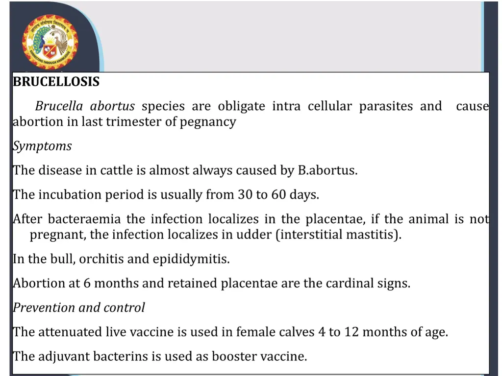 brucellosis