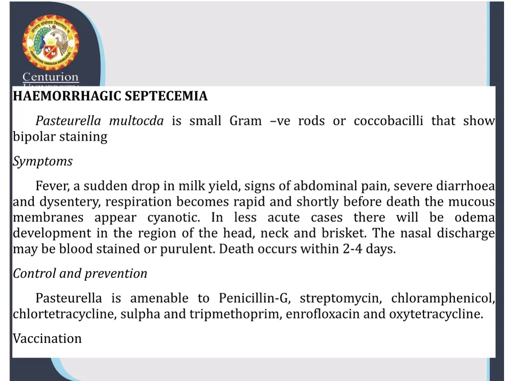 haemorrhagic septecemia