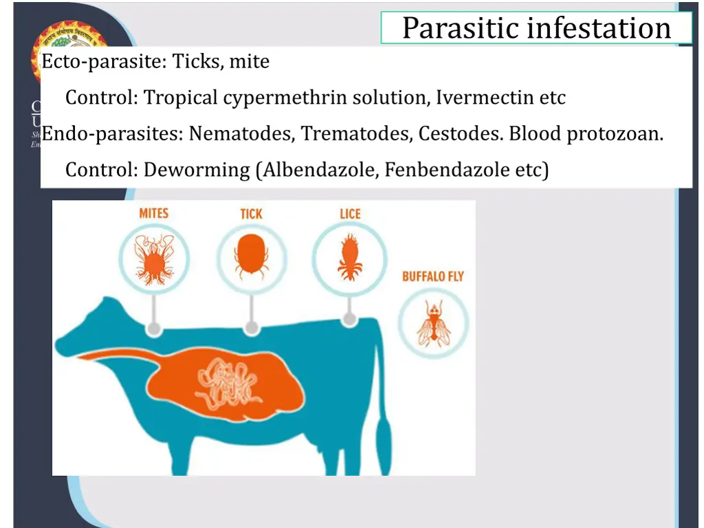 parasitic infestation