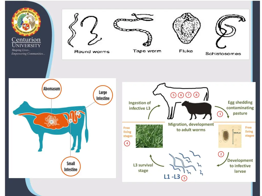 slide14