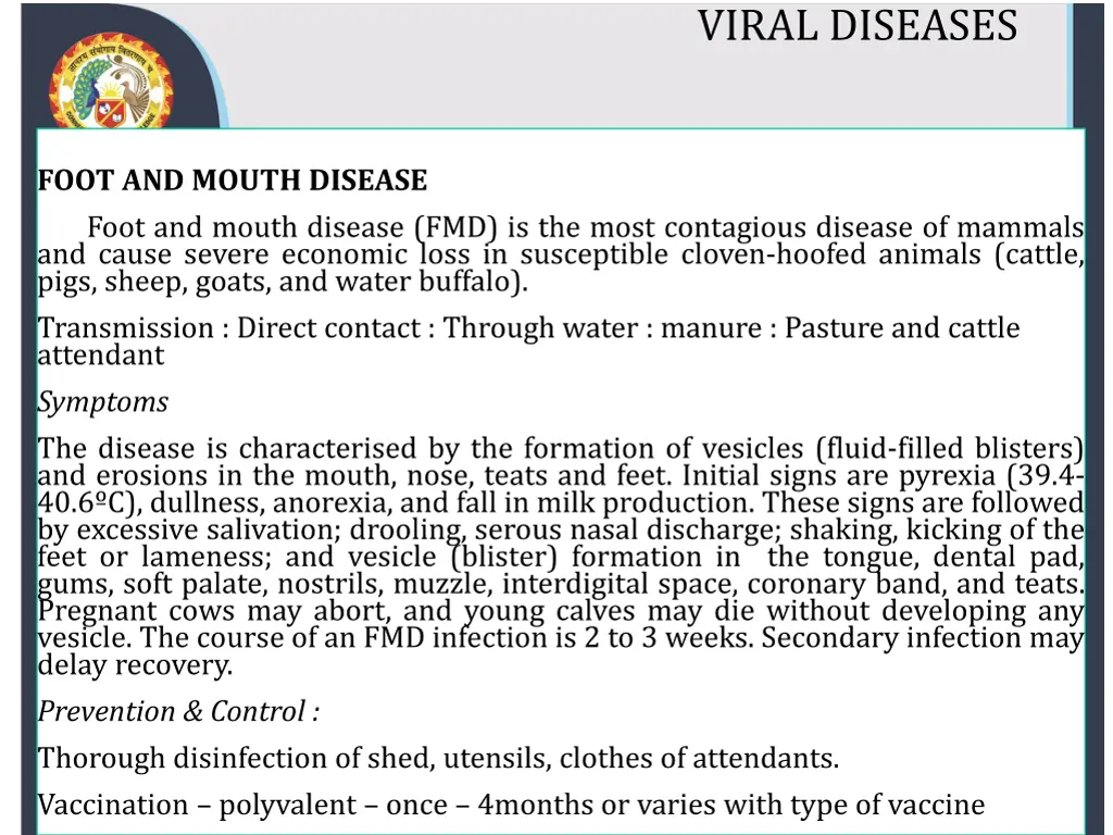 viral diseases