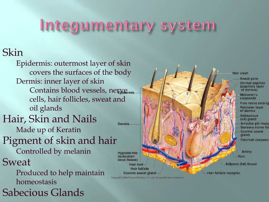 slide4