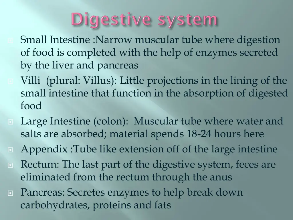 small intestine narrow muscular tube where
