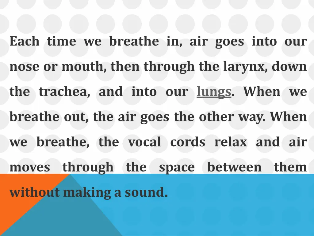 each time we breathe in air goes into our