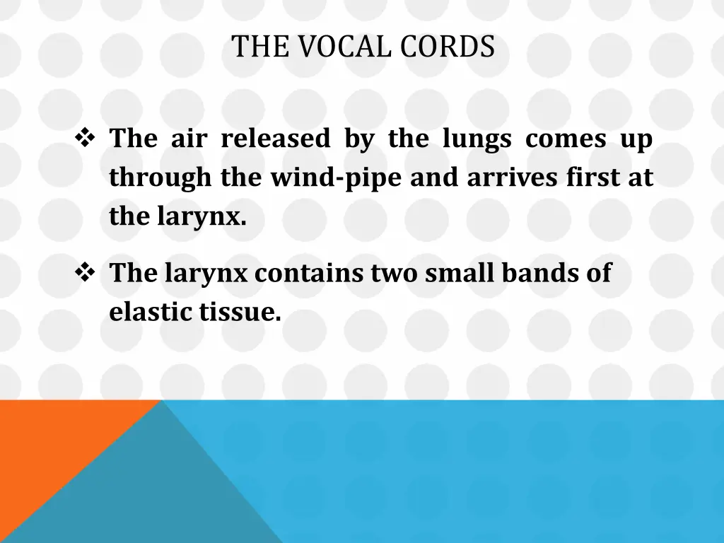the vocal cords