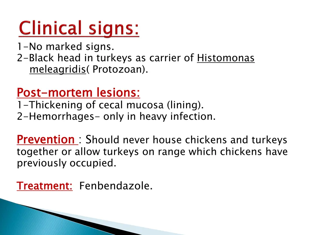 1 no marked signs 2 black head in turkeys