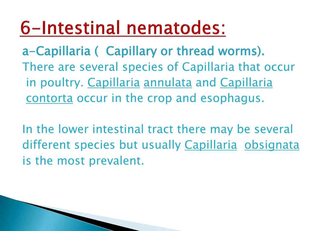 a a capillaria there are several species