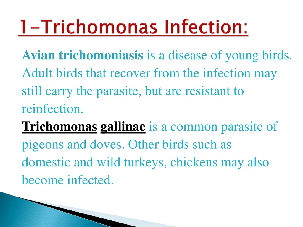 avian trichomoniasis is a disease of young birds