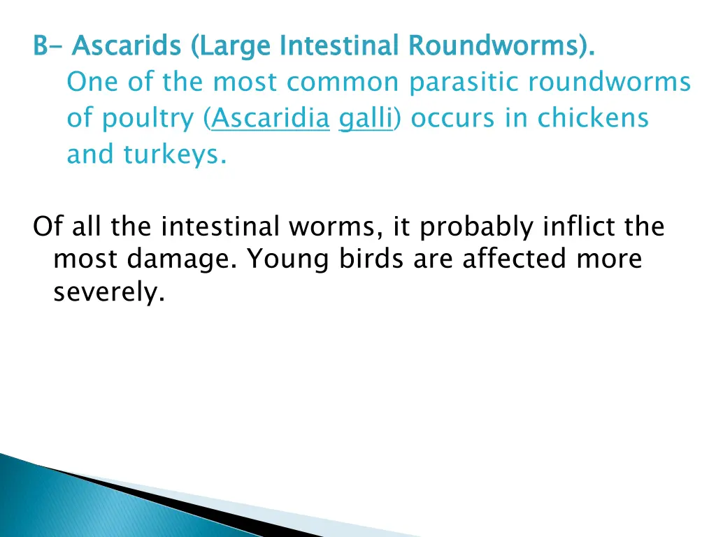 b b ascarids one of the most common parasitic