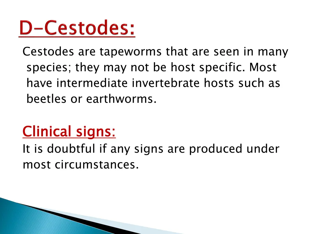 cestodes are tapeworms that are seen in many