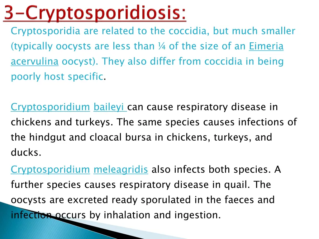cryptosporidia are related to the coccidia