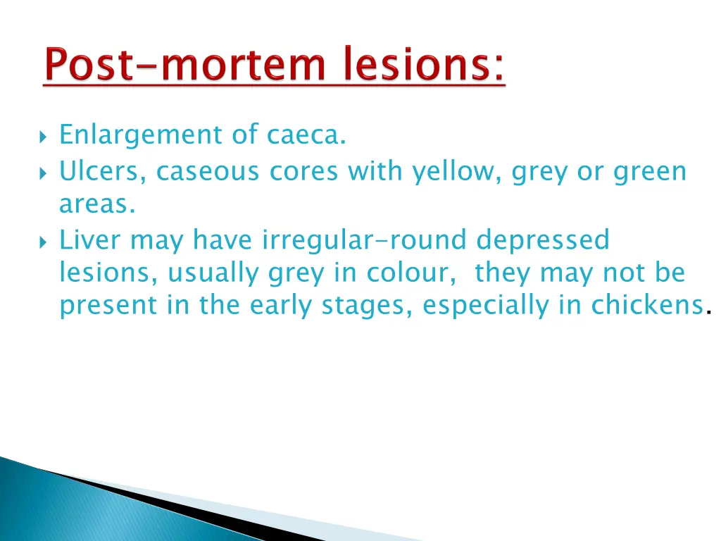 enlargement of caeca ulcers caseous cores with
