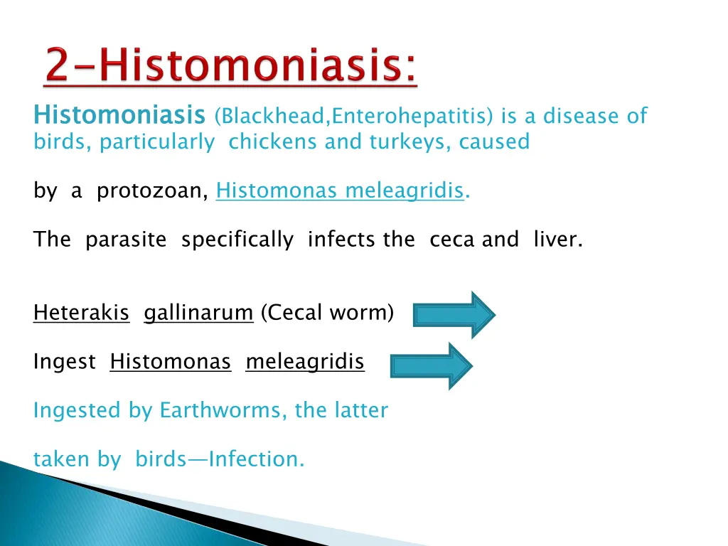 histomoniasis birds particularly chickens