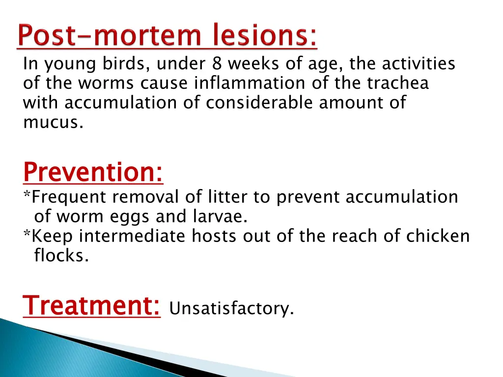 in young birds under 8 weeks