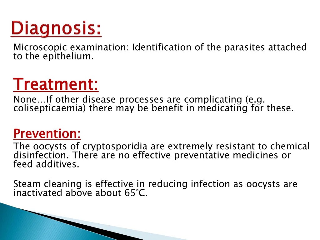 microscopic examination identification