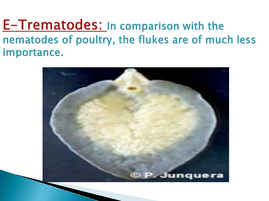 slide37