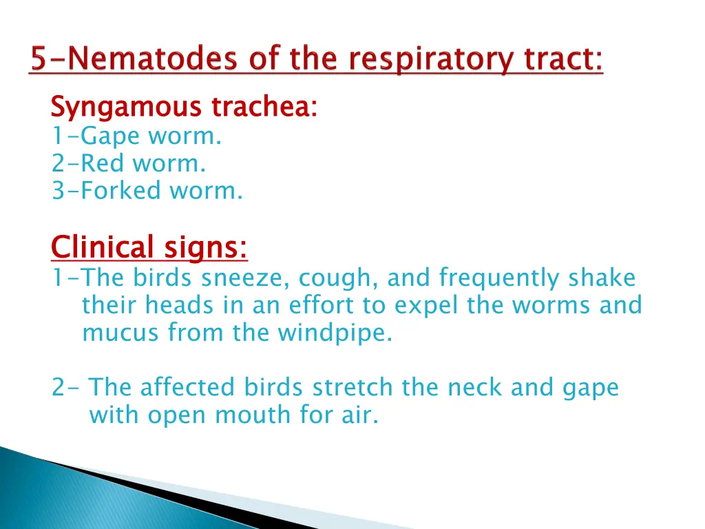 syngamous 1 gape worm 2 red worm 3 forked worm