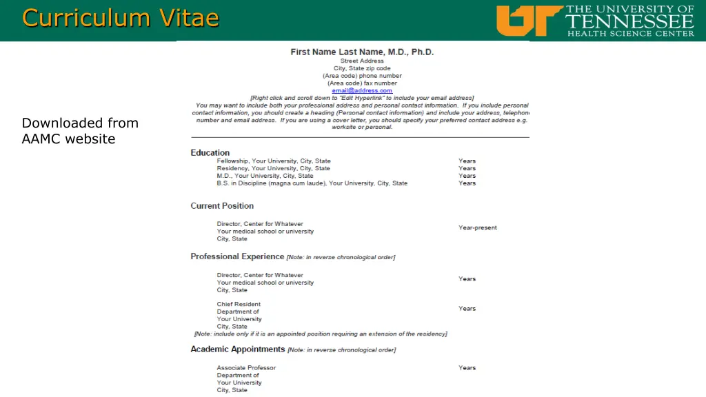 curriculum vitae 1