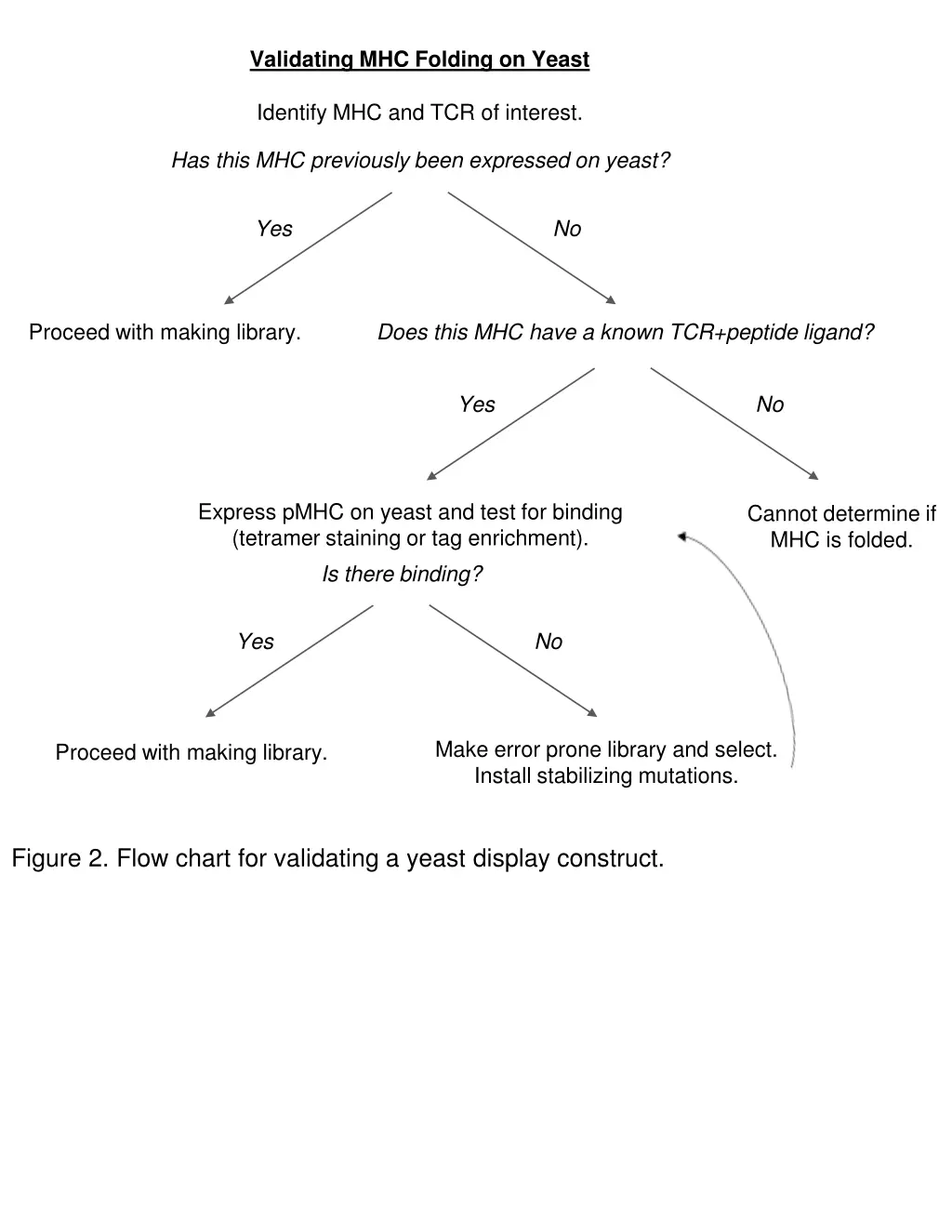 validating mhc folding on yeast