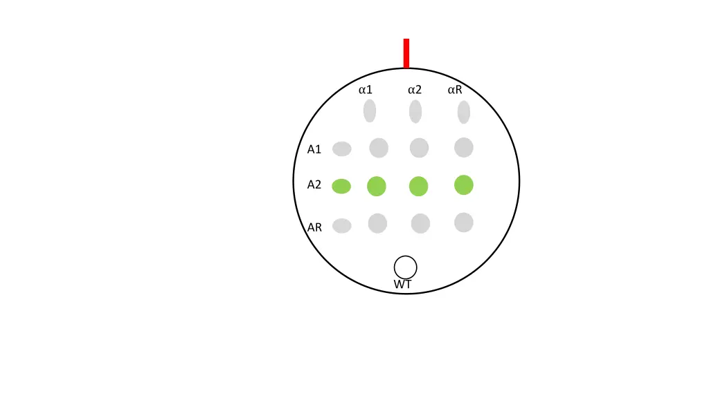 slide3