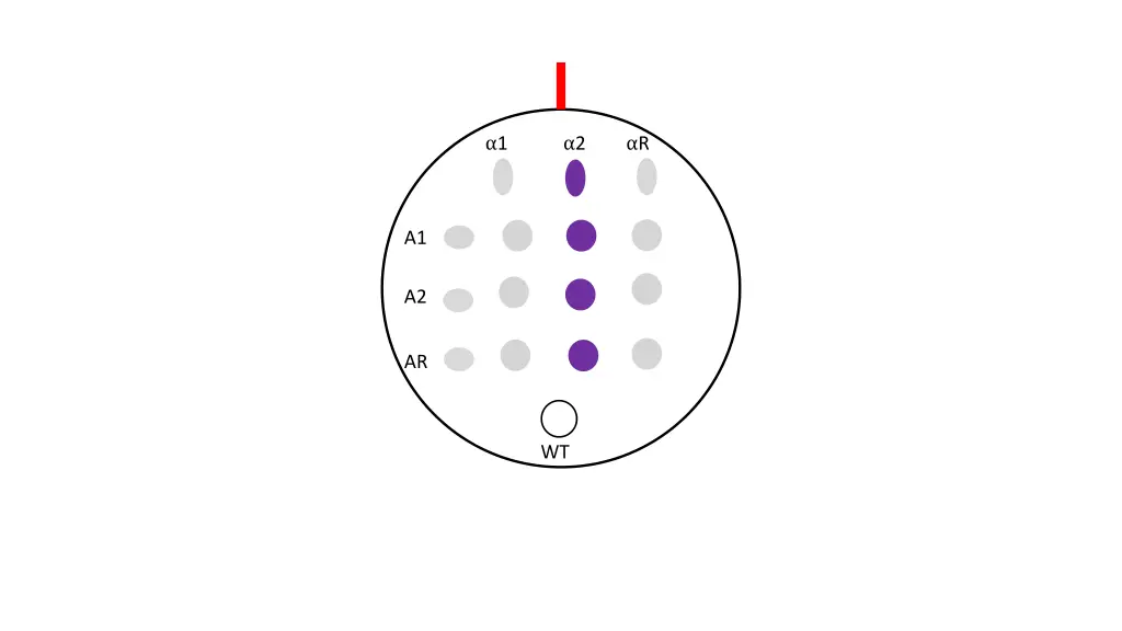 slide6