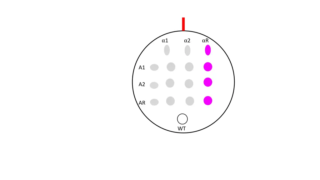 slide7