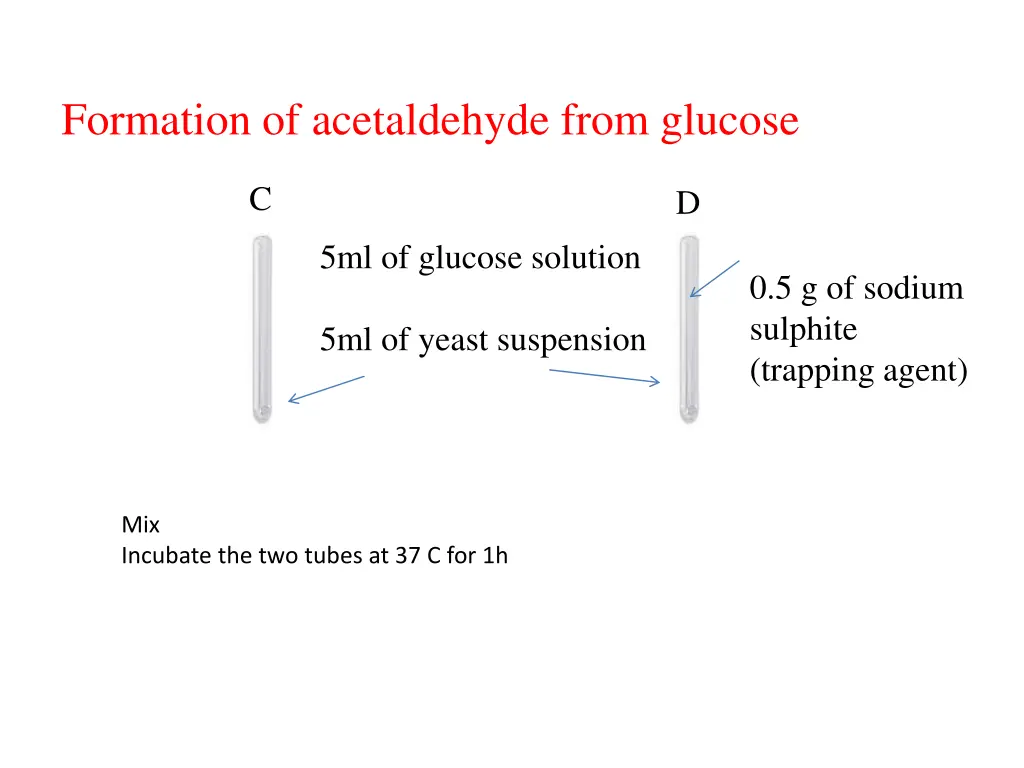 formation of acetaldehyde from glucose