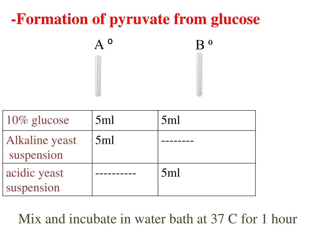 formation of pyruvate from glucose