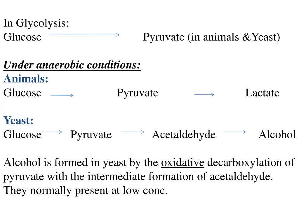 in glycolysis glucose pyruvate in animals yeast
