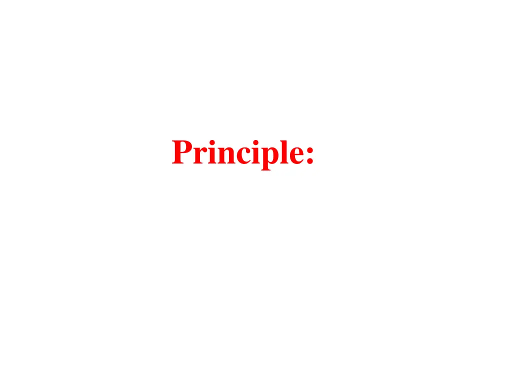 principle