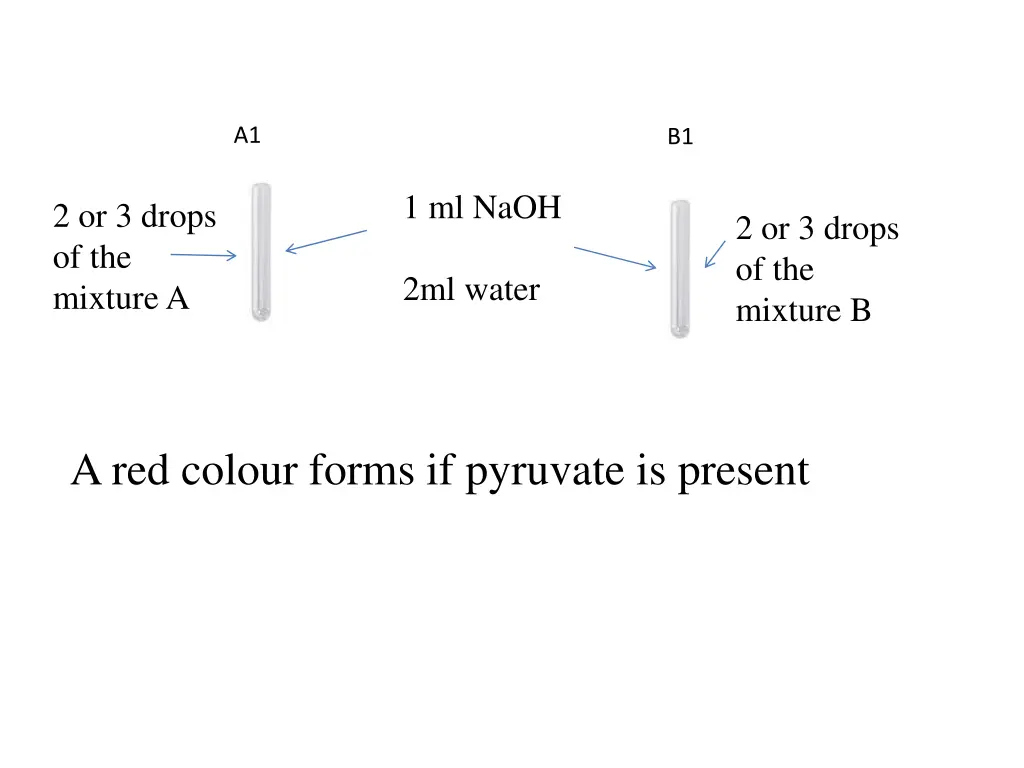 slide15